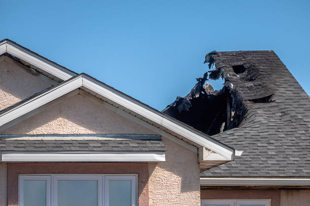 Top rated local Smoke Odor Removal specialists in South Haven, MN